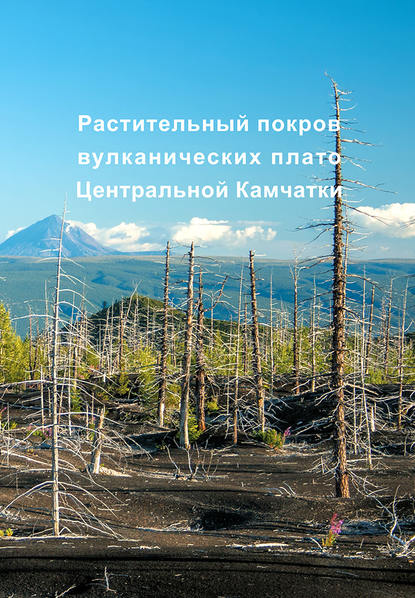 Растительный покров вулканических плато Центральной Камчатки (Ключевская группа вулканов)