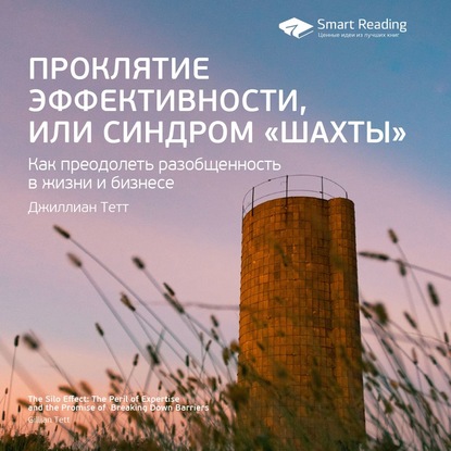 Ключевые идеи книги: Проклятие эффективности, или Синдром «шахты». Джиллиан Тетт