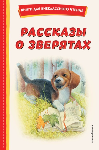 Книги для внеклассного чтения