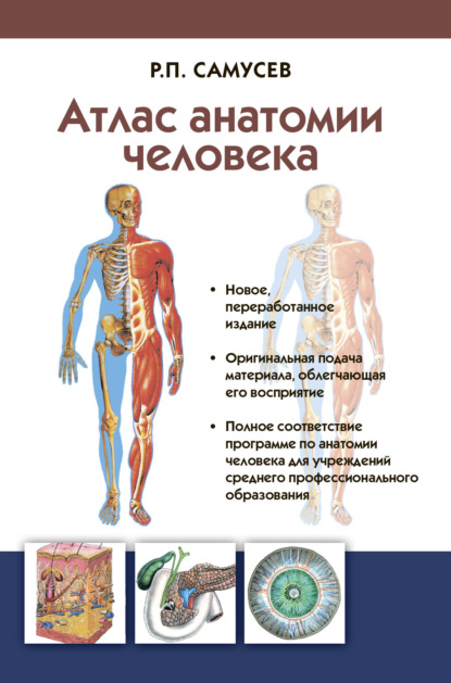 Атлас анатомии человека. Учебное пособие для студентов учреждений среднего профессионального образования