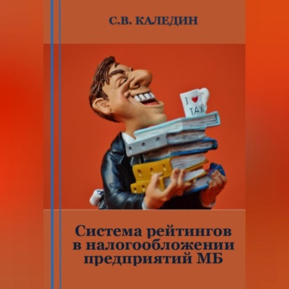 Система рейтингов в налогообложении предприятий МБ