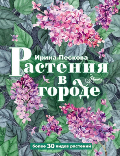 Растения в городе