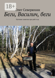 Беги, Василич, беги. Путевые заметки про рай и ад