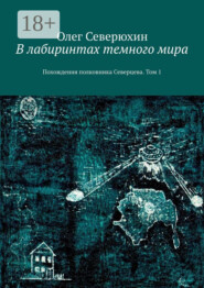 В лабиринтах темного мира. Похождения полковника Северцева. Том 1