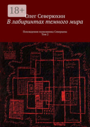 В лабиринтах темного мира. Похождения полковника Северцева. Том 2