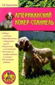 Американский кокер-спаниель