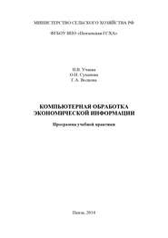 Компьютерная обработка экономической информации