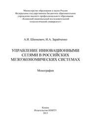 Управление инновационными сетями в российских мезоэкономических системах