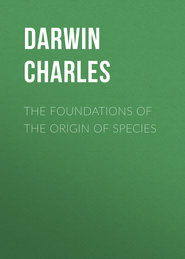 The Foundations of the Origin of Species