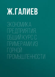 Экономика предприятия. Общий курс с примерами из горной промышленности