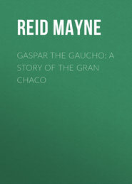 Gaspar the Gaucho: A Story of the Gran Chaco