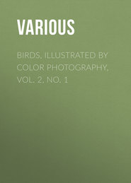 Birds, Illustrated by Color Photography, Vol. 2, No. 1