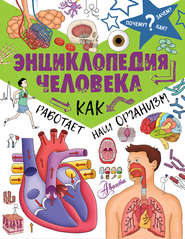 Энциклопедия человека. Как работает наш организм