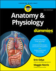 Anatomy and Physiology For Dummies