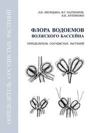 Флора водоемов волжского бассейна. Определитель сосудистых растений