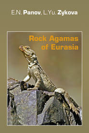 Rock Agamas of Eurasia / Горные агамы Евразии