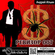 Ревизор 007