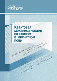 Квантовая механика частиц со спином в магнитном поле