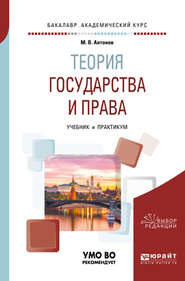 Теория государства и права. Учебник и практикум для академического бакалавриата