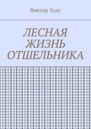 Лесная жизнь отшельника. Книга 5. Второй вариант вознесения