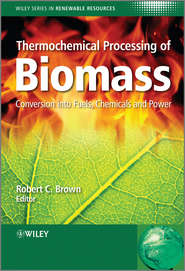 Thermochemical Processing of Biomass. Conversion into Fuels, Chemicals and Power