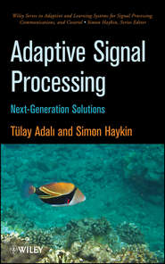 Adaptive Signal Processing. Next Generation Solutions