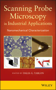 Scanning Probe Microscopy for Industrial Applications. Nanomechanical Characterization