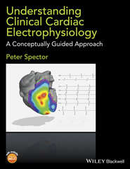 Understanding Cardiac Electrophysiology. A Conceptually Guided Approach