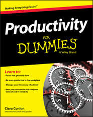 Productivity For Dummies