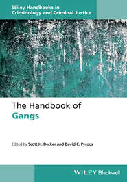 The Handbook of Gangs