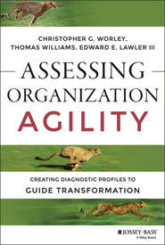 Assessing Organization Agility. Creating Diagnostic Profiles to Guide Transformation