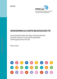 Экономика в сфере безопасности. Экономические методы определения эффективности использования природных ресурсов. Практикум