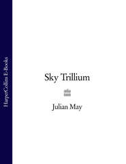 Sky Trillium