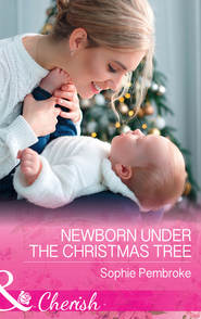 Newborn Under The Christmas Tree