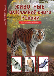 Животные из Красной книги России