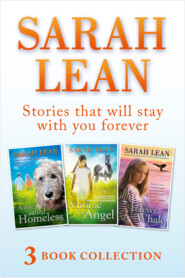 Sarah Lean - 3 Book Collection