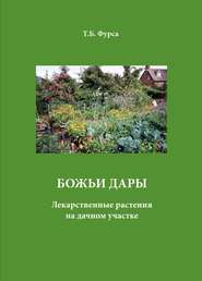 Божьи дары. Лекарственные растения на дачном участке