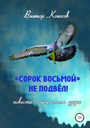 «Сорок восьмой» не подвёл (повесть о крылатом друге)