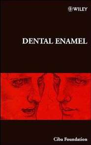 Dental Enamel