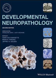 Developmental Neuropathology