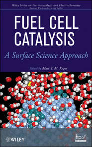 Fuel Cell Catalysis