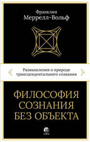 Философия сознания без объекта. Размышления о природе трансцендентального сознания