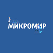 Африканские инфекции: эбола и малярия