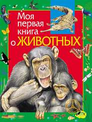 Моя первая книга о животных