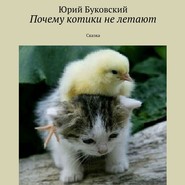 Почему котики не летают. Сказка