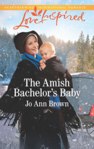 The Amish Bachelor's Baby