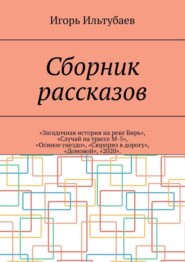 Сборник рассказов. «Загадочная история на реке Бирь», «Случай на трассе М-5», «Осиное гнездо», «Сюрприз в дорогу», «Домовой», «2020»