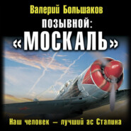 Позывной: «Москаль». Наш человек – лучший ас Сталина