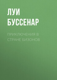 Приключения в стране бизонов