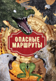 Опасные маршруты